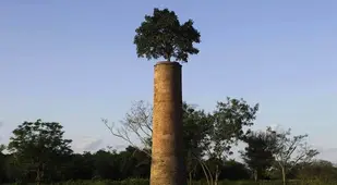 Abandoned Structures In Paraguay