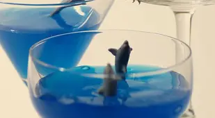 Tanaka Tatsuya Aquarium