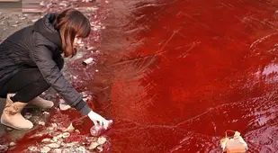 Pollution In China Jianhe River