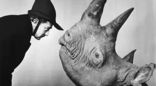 Salvador Dali Meets A Rhino