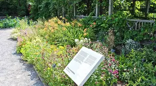 Useful Plants Garden