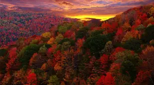 Colorful Fall Photos at Sunset