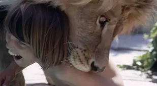 Lion Kid