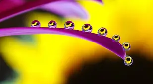 Beautiful Water Droplets Up Close