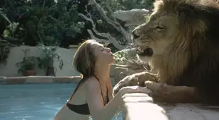 Pet Lions