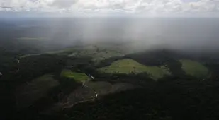 Disappearing Amazon Clearing