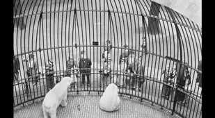 Berlin Zoo 1930s