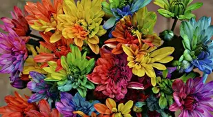 Flower Experiment