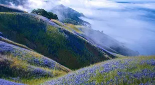 Big Sur Landscape Photography