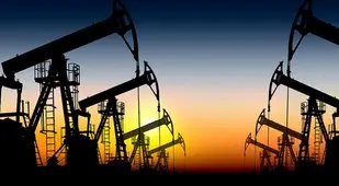 Oil Production Business Multiple Rigs