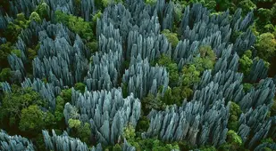 Unknown World Heritage Sites Tsingy