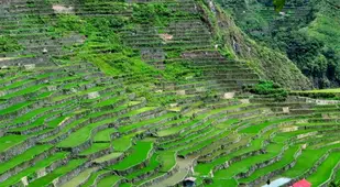 Rice Terraces Amphitehater