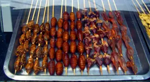 Gross Food Chinese Kebab