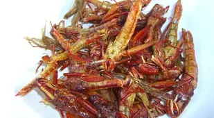 Gross Food Locust Plate