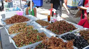 Gross Food Thai Market