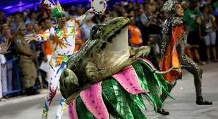 Carnival 2015 in Brazil