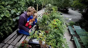 Greenest City Urban Farming