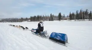 iditarod race chena river