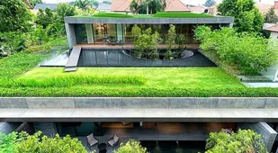 Rooftop Gardens