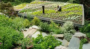 Rooftop Gardens Pictures