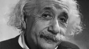 Descendants Of Albert Einstein