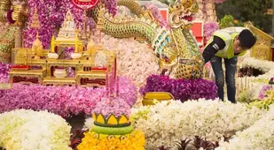 chelsea flower show dragon