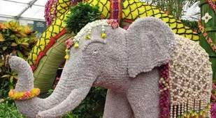 chelsea flower show elephant