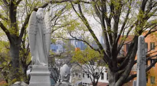 Angel NYC Skyline