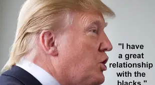Crazy Donald Trump Quotes