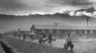 Dust Camp
