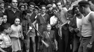 French Head Shave Group