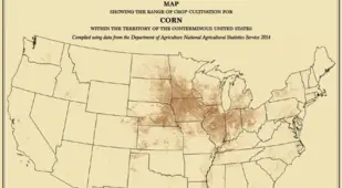 U.S. Census Maps Corn