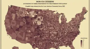 Map America Foreign Noncitizen