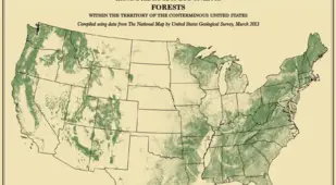 U.S. Census Maps Forests