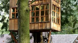 TreeHouse Point Windows