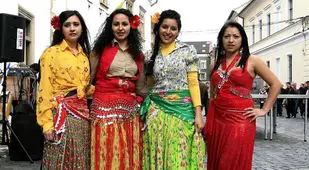 A History Of The Gypsies