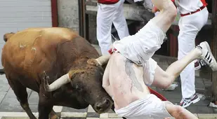 Running of the Bulls Injuries