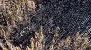 Summer Weather 2015 Northern Canada Wildfire
