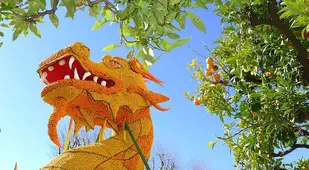 Fête du Citron 2015