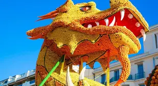 Lemon Festival Dragon