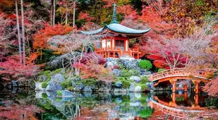 Colorful Kansai Japan Reflecting