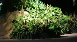 Lowline Corner Foliage