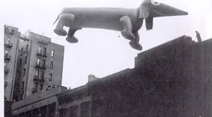 Vintage Macys Thanksgiving Day Parade Photos Dachshund