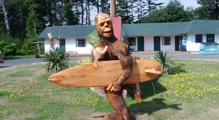 Surfing With Sasquatch