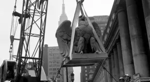 Bird Statue Being Removed