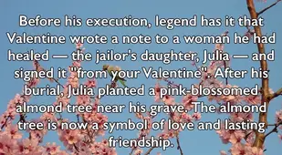 Almond Tree Legend