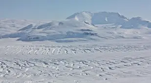 Mt Murphy