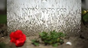 Memorial Day Quotes Flanders Fields 100 Years Since The Great War