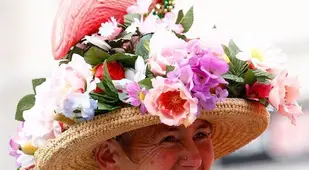 Flamingo Flowers
