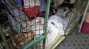 Hong Kong Cage Homes